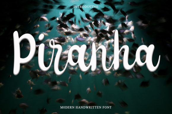 Piranha: A Font for Polished Branding