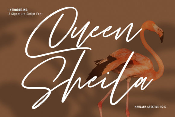 Queen Sheila: A Font That Elevates Your Brand